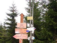DSC07515