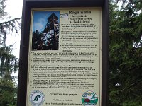 DSC07529