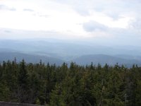 DSC07530