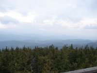 DSC07531
