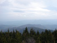 DSC07532