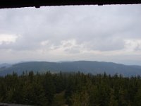 DSC07534