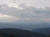 DSC07537