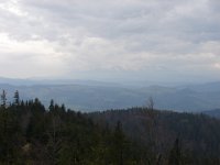 DSC07539