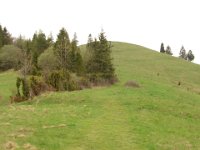 DSC07548
