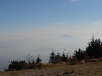 DSC08356
