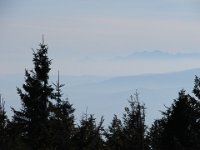 DSC08368