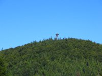 IMG 0050