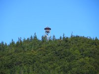 IMG 0051