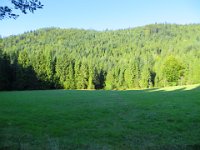 IMG 0084