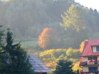 IMG 0090