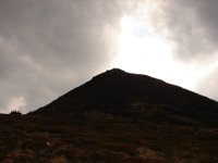 DSC08772
