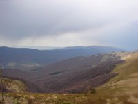 DSC08790