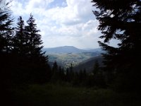 DSC00393