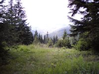 DSC00394