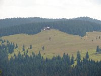 DSC06388
