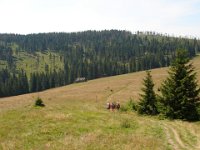 DSC06390
