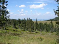 DSC06428