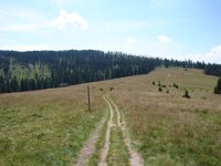 DSC06432