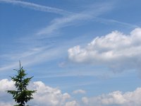 DSC06447
