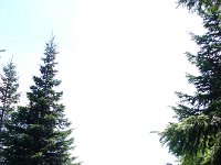 DSC06453