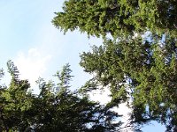 DSC06456