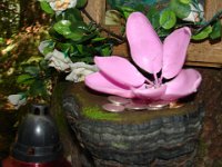 DSC06465