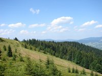 DSC06482