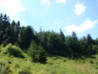DSC06489