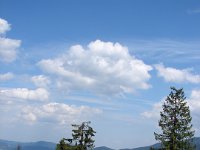 DSC06491