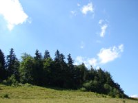 DSC06495