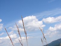 DSC06496