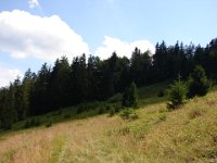 DSC06500
