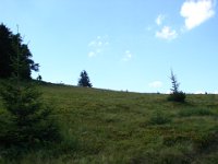 DSC06502