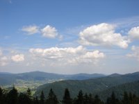 DSC06505