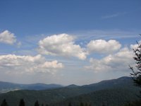 DSC06506