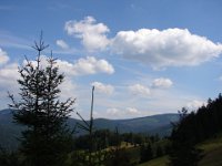 DSC06508