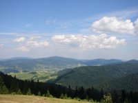 DSC06514
