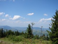 DSC06516