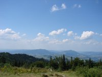 DSC06517
