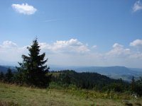 DSC06518