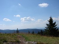 DSC06519