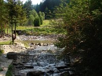 DSC06539