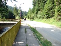 DSC06542