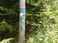 DSC08931