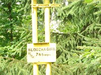 DSC08941