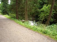 DSC09158