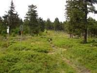 DSC09170