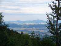 DSC09356