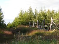 DSC09365